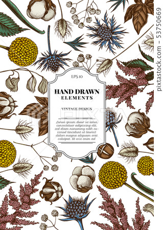 Card design with colored astilbe, craspedia, blue eryngo, lagurus, cotton, gypsophila 53750669