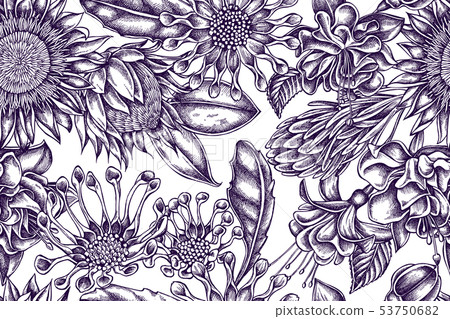 Artistic pattern with african daisies, fuchsia, king protea 53750682