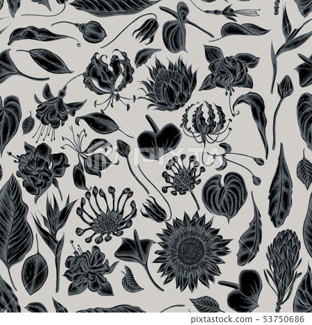 Seamless pattern with hand drawn stylized african daisies, fuchsia, gloriosa, king protea, anthurium 53750686