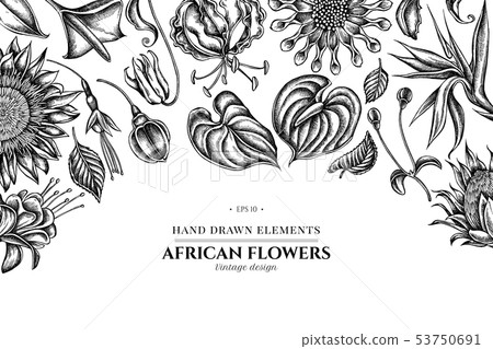 Floral design with black and white african daisies, fuchsia, gloriosa, king protea, anthurium 53750691