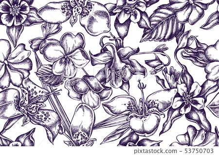 Artistic pattern with impatiens, tigridia, aquilegia Artistic pattern with impatiens, tigridia, aquilegia 53750703