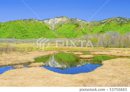 Scenic crane mountain and fresh green reflected in pond pond Scenic crane mountain and fresh green reflected in pond pond 53750883