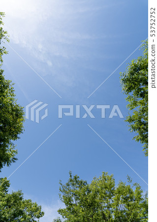 初夏綠色和藍天復制空間 53752752