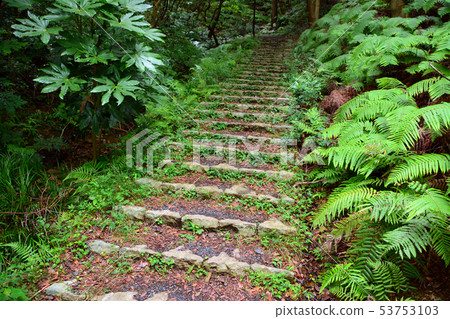 通往橫山天文台的石階 53753103