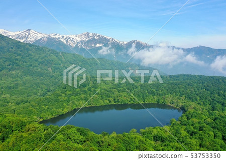 Aerial view of lotus flower white pond in Itoigawa city, Niigata prefecture in early summer 53753350
