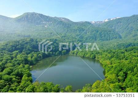 Aerial view of lotus flower white pond in Itoigawa city, Niigata prefecture in early summer 53753351