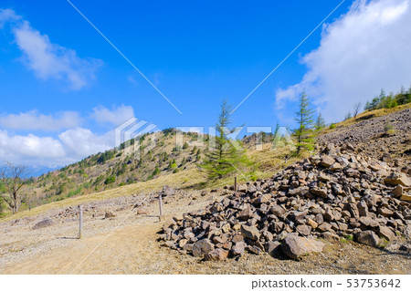 大磯登山(Ashinokawahara) 大磯登山(Ashinokawahara) 53753642