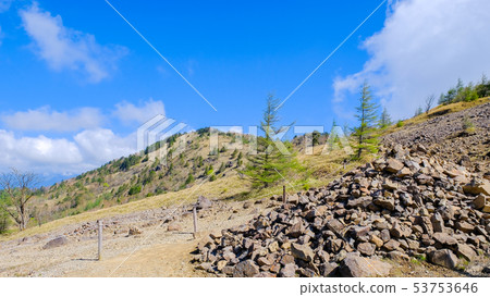 大磯登山(Ashinokawahara) 大磯登山(Ashinokawahara) 53753646