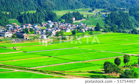 Summer rural landscape (July) Summer rural landscape (July) 53754407