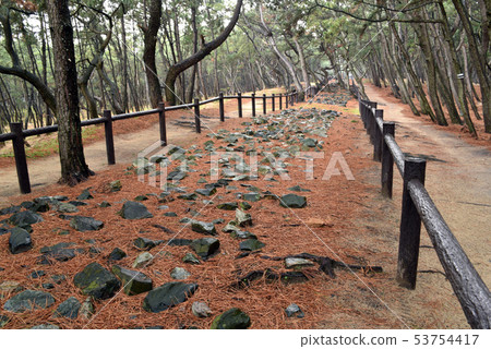 前Genso防禦Wari Imazu 53754417