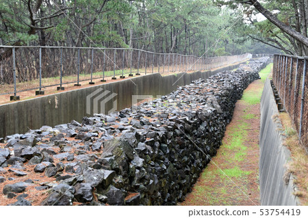 Former Genso Defense Wari Imazu 53754419