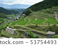 Rice terraces 53754493