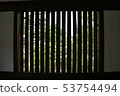 The view from the window of the world heritage site 53754494