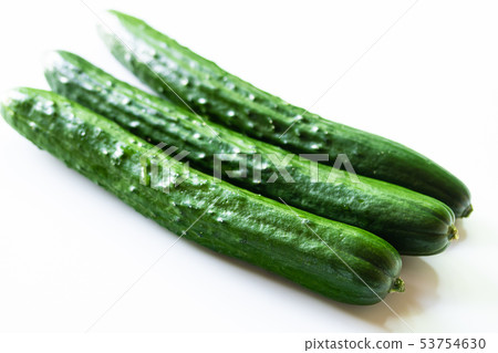 Cucumber 53754630