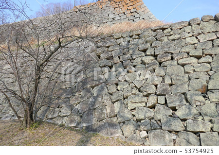 Marugame Castle with no stone walls 53754925