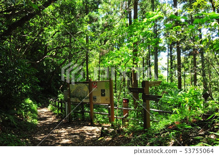 Yokohama City Civic Forest around Mt. Enkai Hiking trail branch and information board Yokohama City Civic Forest around Mt. Enkai Hiking trail branch and information board 53755064