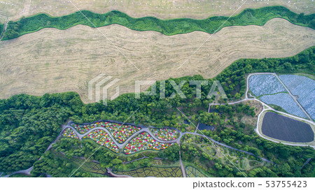 Helicopter shot   53755423