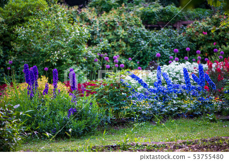 Flowers Flowers 53755480