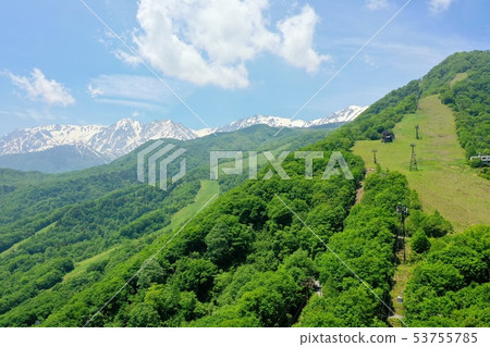Koiike高原的鳥瞰圖在初夏 53755785