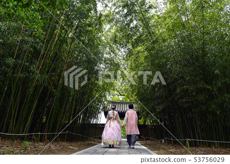 The back of a couple walking in hanbok The back of a couple walking in hanbok 53756029