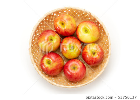 Jazz apple 53756137