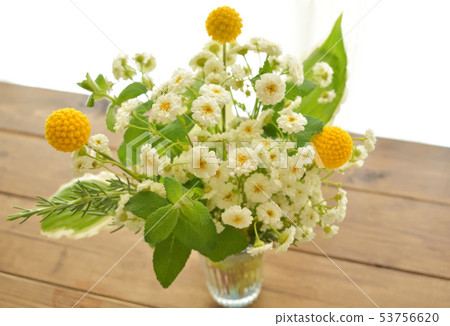 Class pedia Gold stick summer white chrysanthemum arrangement (28-1) Class pedia Gold stick summer white chrysanthemum arrangement (28-1) 53756620
