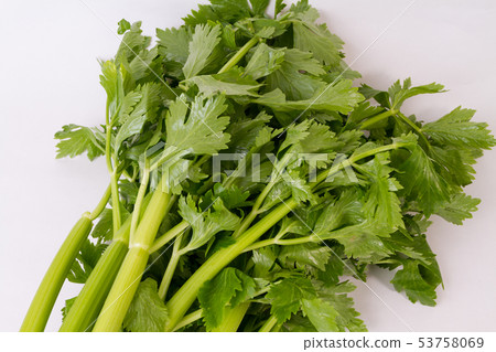 celery  53758069