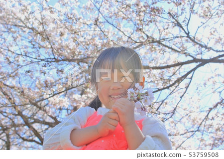 Spring girl 53759508