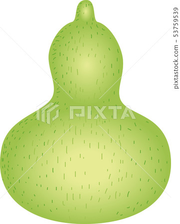 Gourd 53759539
