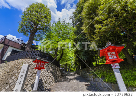 新宿熊野神社的入口 新宿熊野神社的入口 53759622