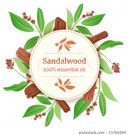 Sandalwood Round Circle badge. sticks and leaves 53760894
