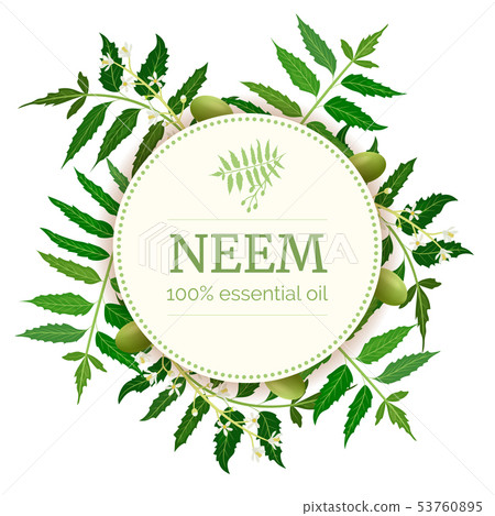 Neem Round Circle badge. leaf branch, flowers and 53760895