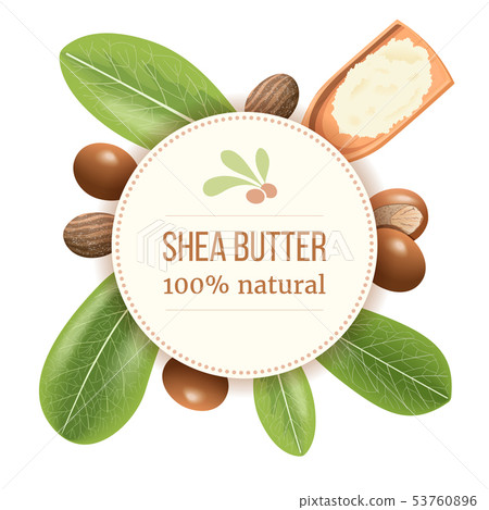 Ripe shea nuts and leaf Round Circle badge. shi 53760896