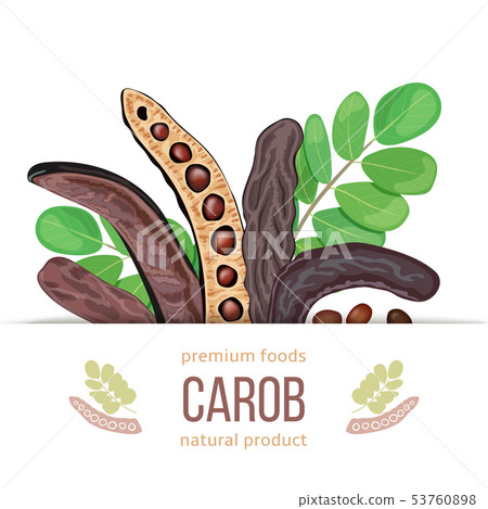 Ripe Carob label. branch with sweet pods, leaves 53760898