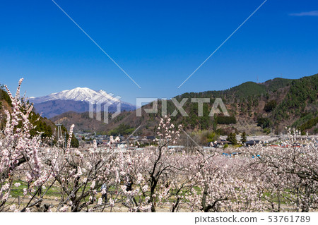 Anzu no Sato Chikuma City, Nagano Prefecture 53761789