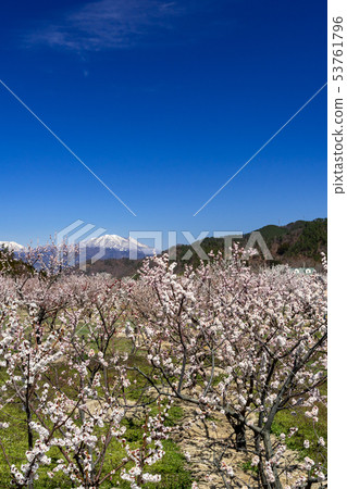 Anzu no Sato Chikuma City, Nagano Prefecture 53761796