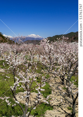 Anzu no Sato Chikuma City, Nagano Prefecture Anzu no Sato Chikuma City, Nagano Prefecture 53761797
