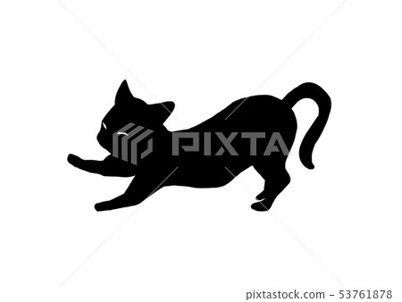 Black cat  53761878