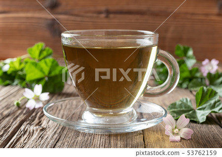 A cup of mallow tea with fresh dwarf mallow plant A cup of mallow tea with fresh dwarf mallow plant 53762159