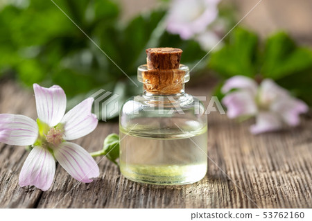 A bottle of mallow essential oil with fresh malva A bottle of mallow essential oil with fresh malva 53762160