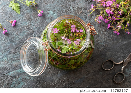 Preparation of tincture from fresh herb-Robert 53762167