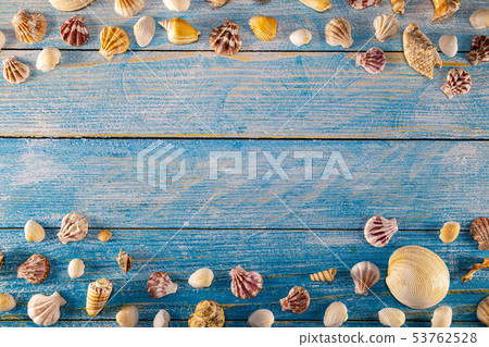 Summer time concept with sea shells on a blue 53762528