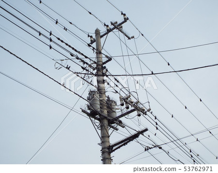 In residential areas, it may be necessary to prevent bird damage to wires and poles 53762971