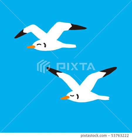 Bird gull seagull illustration 53763222