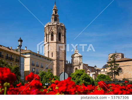 The Valencia Cathedral church building and Placa Reina with flowers The Valencia Cathedral church building and Placa Reina with flowers 53767306