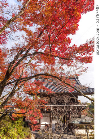京都Zentsuji寺廟秋葉京都京都圖像 京都Zentsuji寺廟秋葉京都京都圖像 53767487