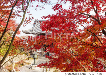 京都Zentsuji寺廟秋葉京都京都圖像 京都Zentsuji寺廟秋葉京都京都圖像 53767489