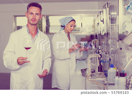 Attentive glad man testing wine qualities Attentive glad man testing wine qualities 53769183