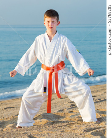 Boy doing karate poses 53769285