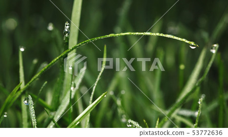 Blade and drops Blade and drops 53772636